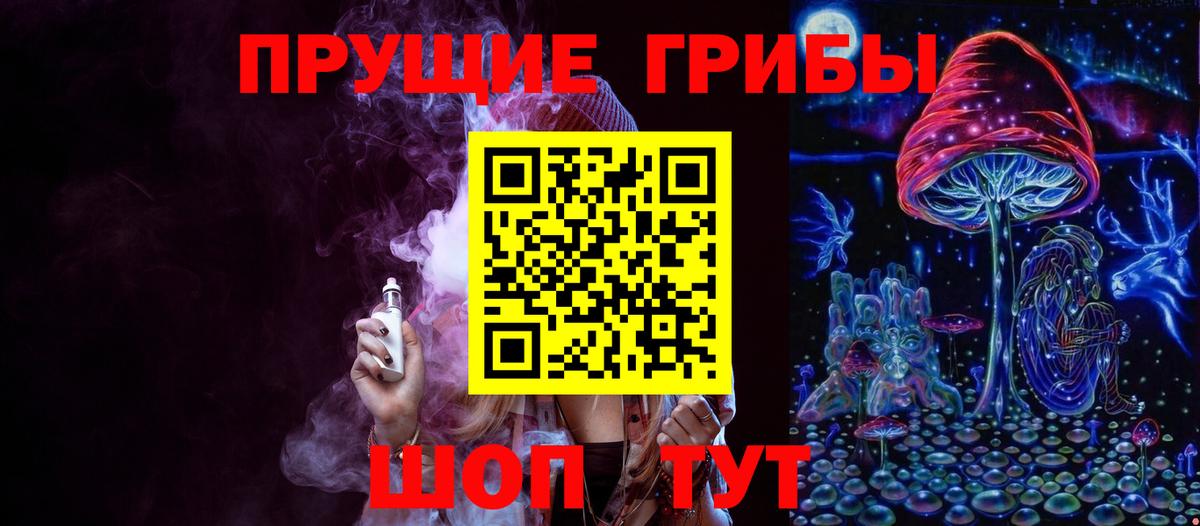 Галлюциногенные грибы Psilocybe Похвистнево