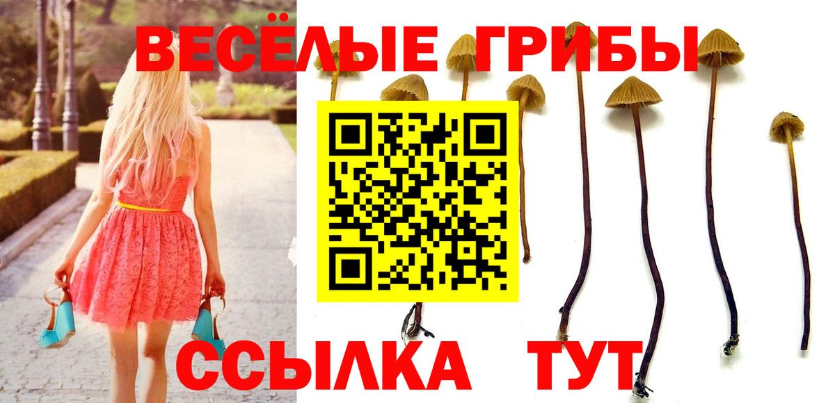 Похвистнево  Галлюциногенные грибы Psilocybe  Вход с VPN 